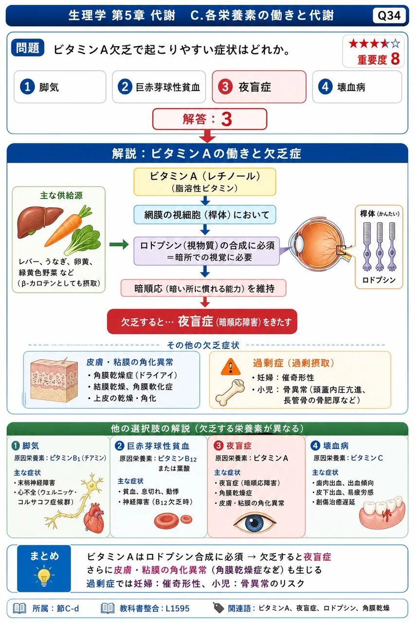 ビタミンA欠乏で起こりやすい症状はどれか。 解説図