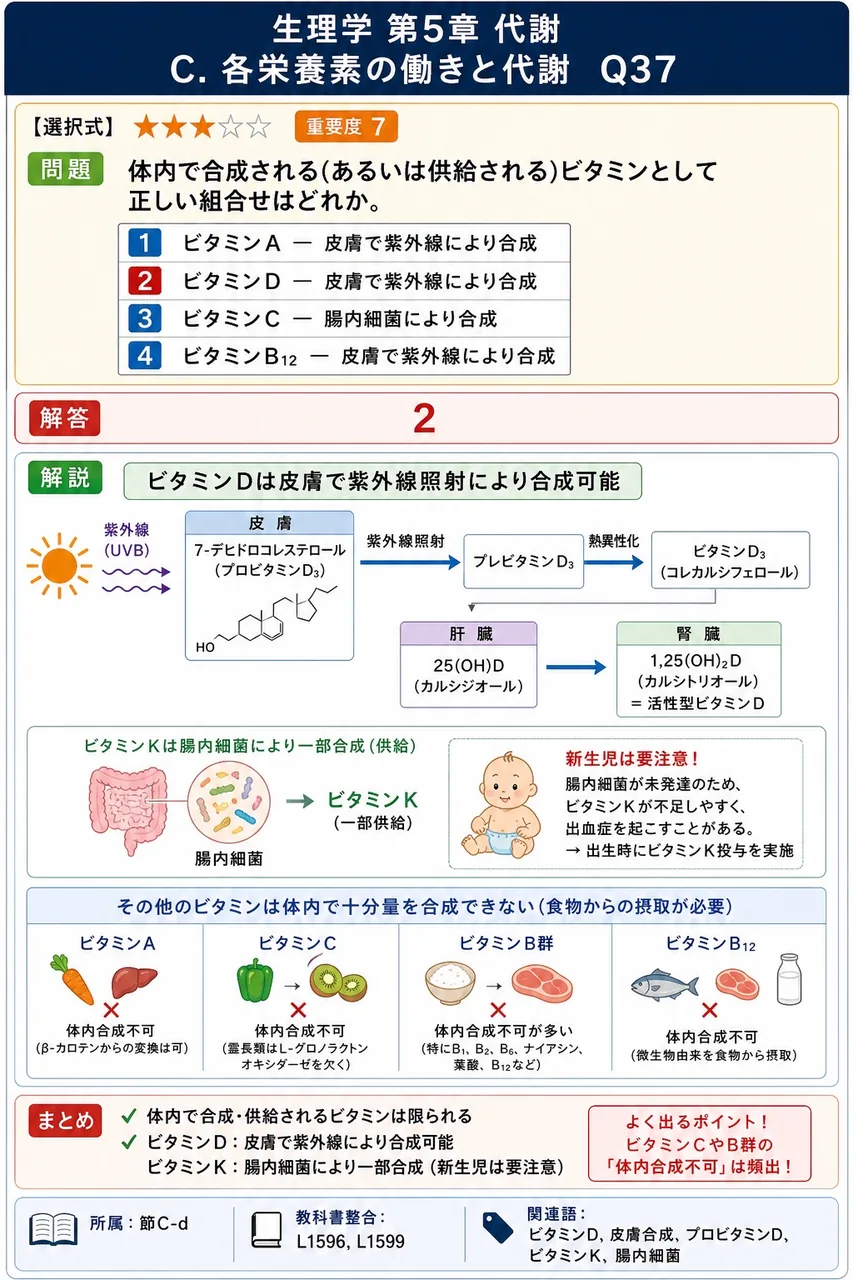 体内で合成される(あるいは供給される)ビタミンとして正しい組合せはどれか。 解説図