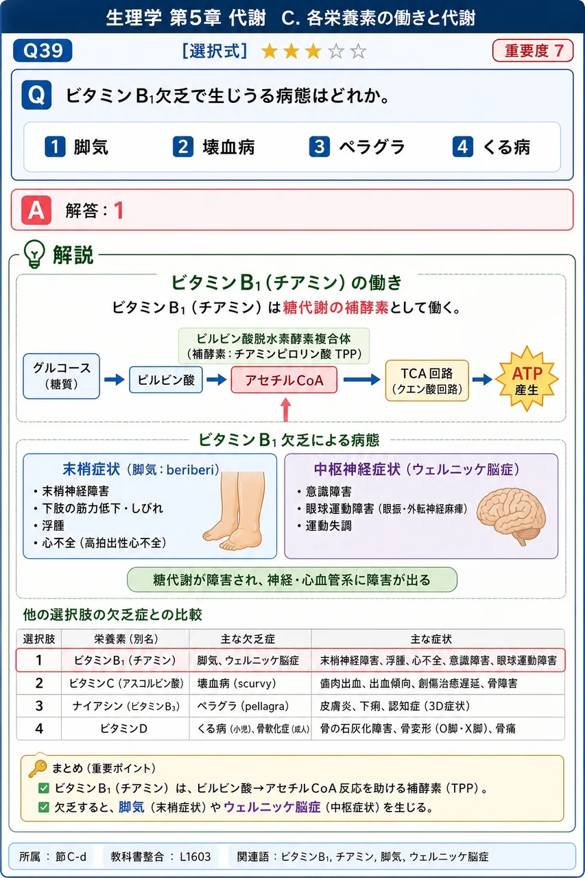 ビタミンB1欠乏で生じうる病態はどれか。 解説図