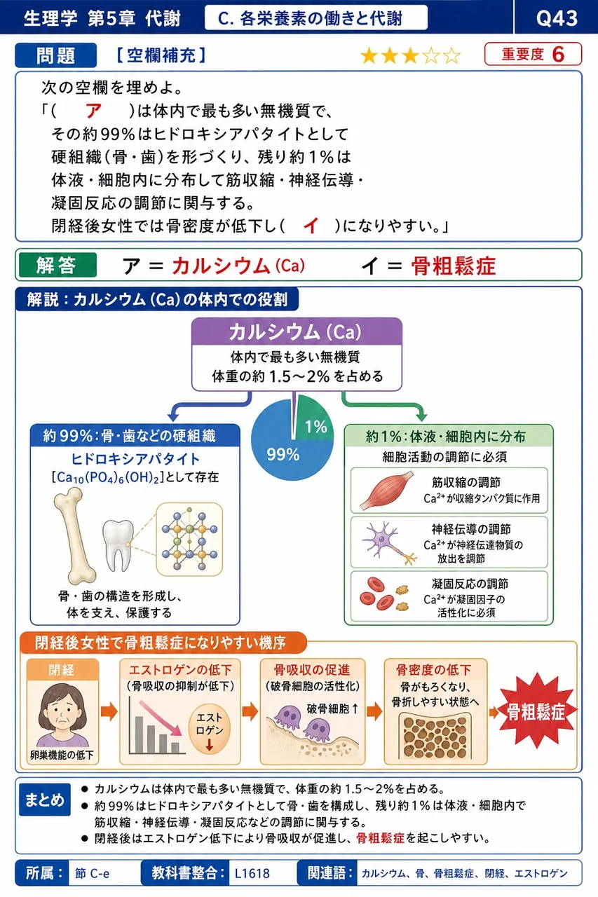 次の空欄を埋めよ。 「( ア )は体内で最も多い無機質で、その約99%はヒドロキシアパタイトとして硬組織(骨・歯)を形づくり、残り約1%は体液・細胞内に分布して筋収縮・神経伝導・凝固反応の調節に関与する。閉経後女性では骨密度が低下し( イ )になりやすい。」 解説図