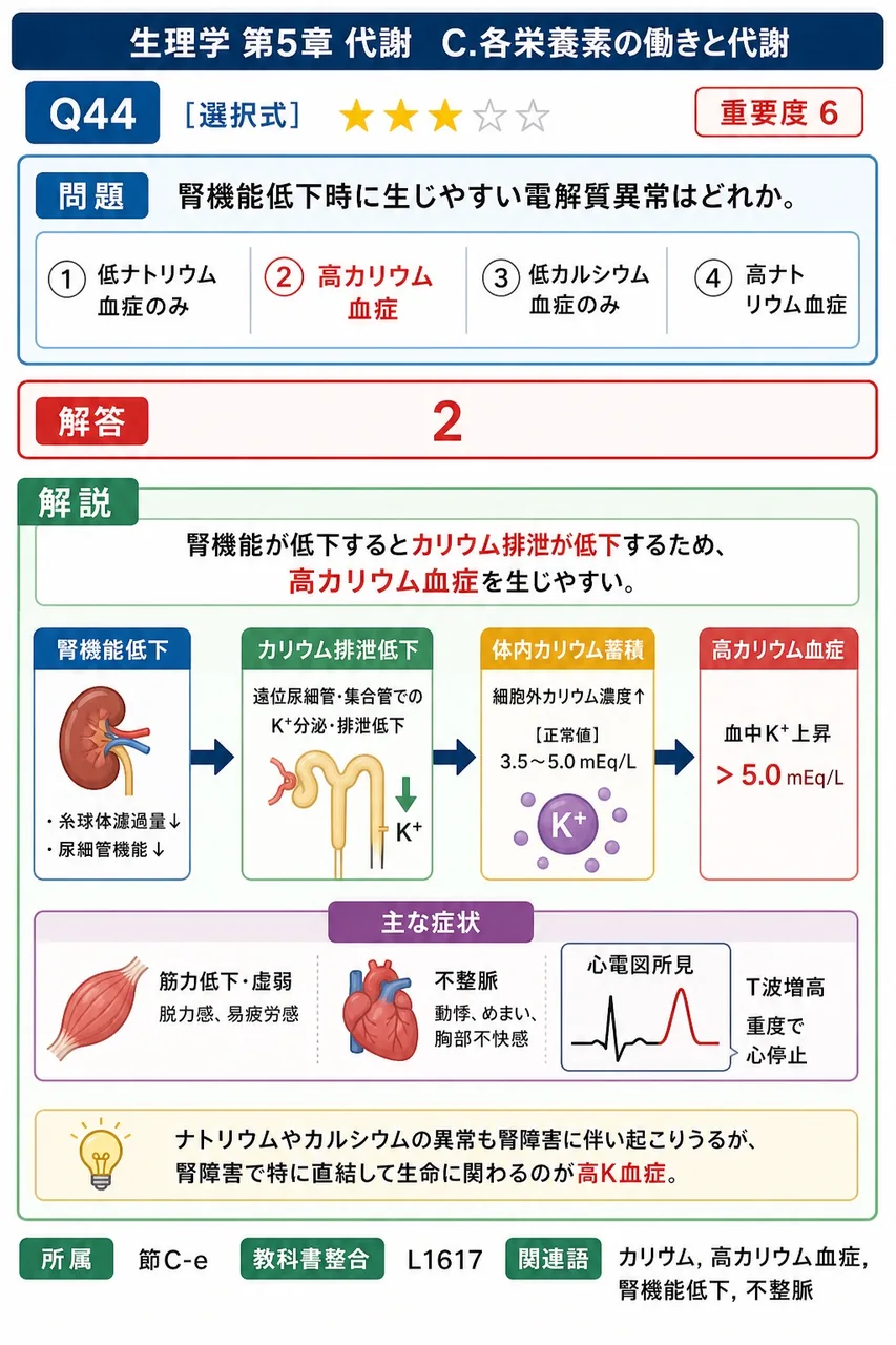 腎機能低下時に生じやすい電解質異常はどれか。 解説図