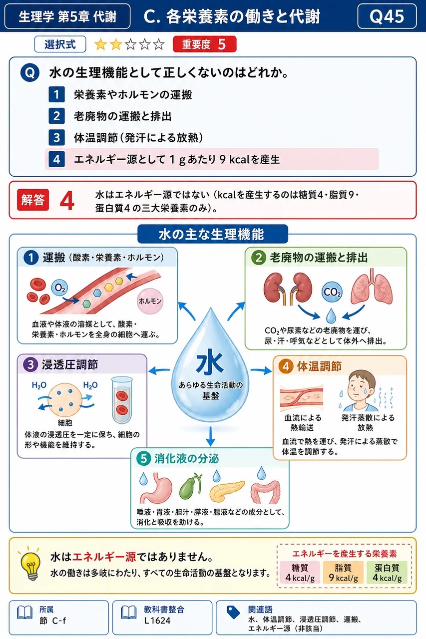 水の生理機能として正しくないのはどれか。 解説図