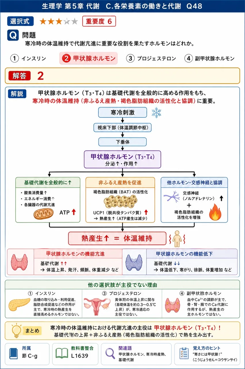 寒冷時の体温維持で代謝亢進に重要な役割を果たすホルモンはどれか。 解説図