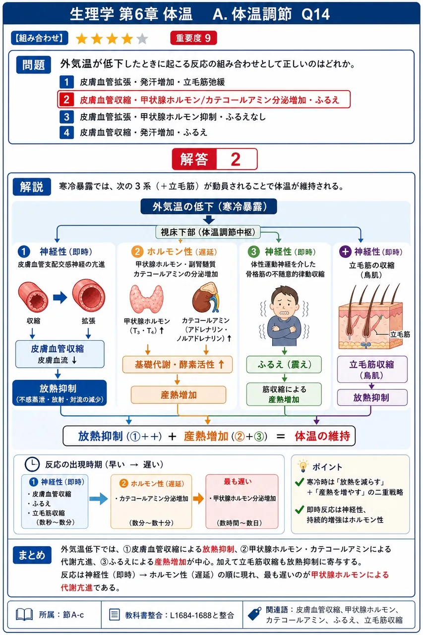 外気温が低下したときに起こる反応の組み合わせとして正しいのはどれか。 解説図