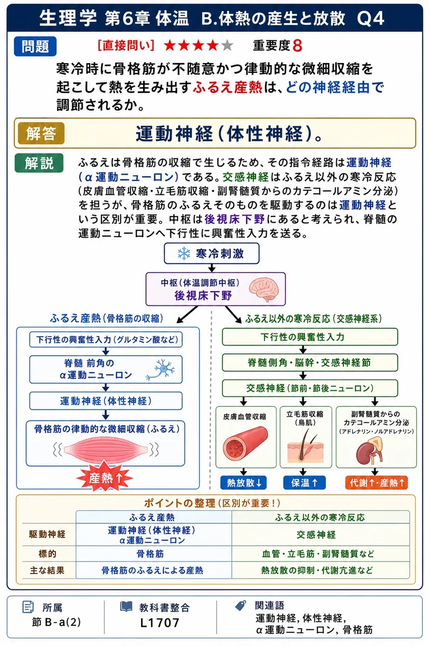 寒冷時に骨格筋が不随意かつ律動的な微細収縮を起こして熱を生み出すふるえ産熱は、どの神経経由で調節されるか。 解説図
