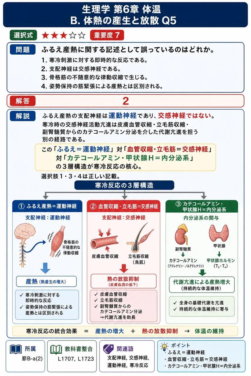 ふるえ産熱に関する記述として誤っているのはどれか。 解説図