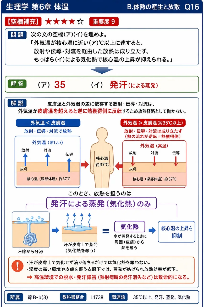 次の文の空欄(ア)(イ)を埋めよ。 「外気温が核心温に近い(ア)℃以上に達すると、放射や伝導・対流を経由した放熱は成り立たず、もっぱら(イ)による気化熱で核心温の上昇が抑えられる。」 解説図
