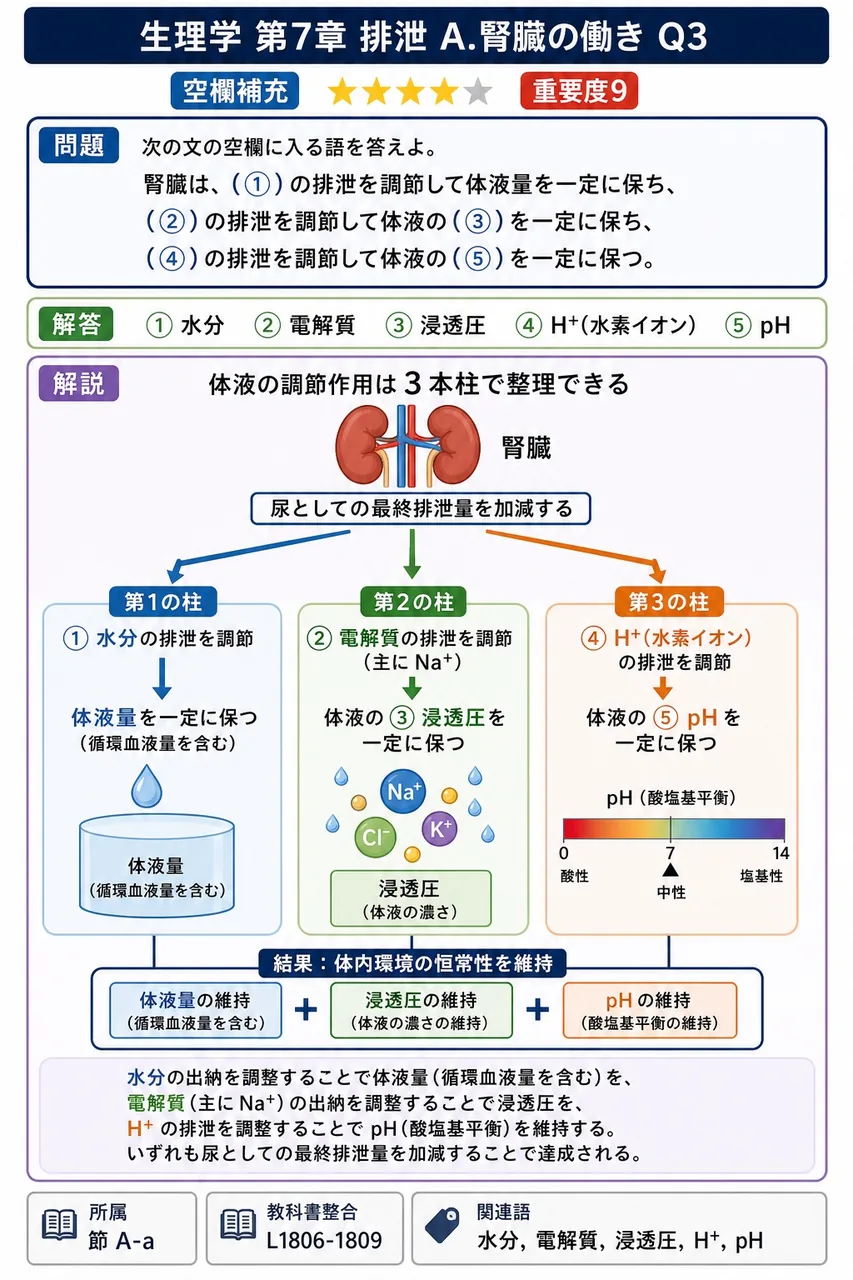 次の文の空欄に入る語を答えよ。 腎臓は、(①)の排泄を調節して体液量を一定に保ち、(②)の排泄を調節して体液の(③)を一定に保ち、(④)の排泄を調節して体液の(⑤)を一定に保つ。 解説図