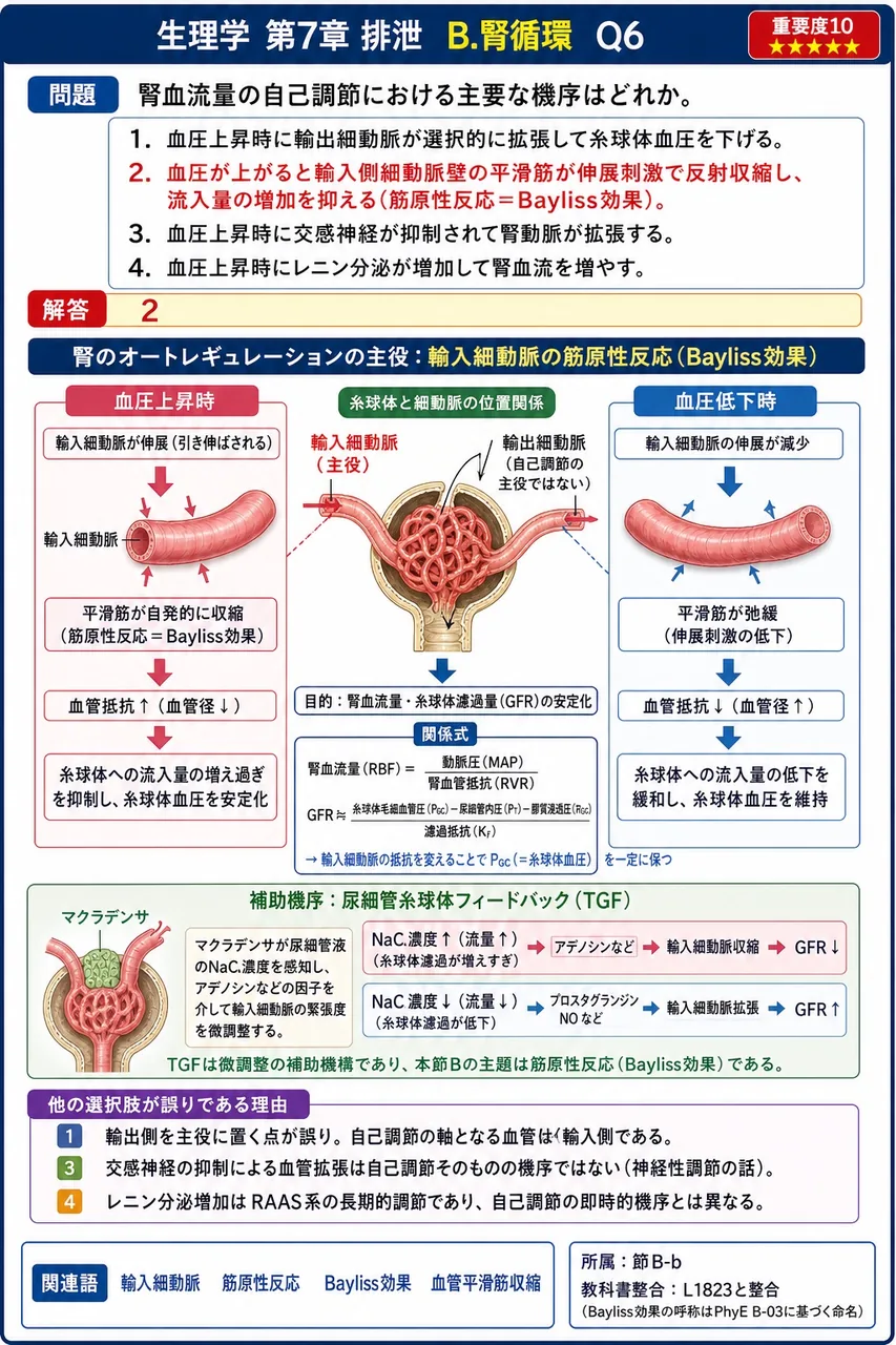 腎血流量の自己調節における主要な機序はどれか。 解説図