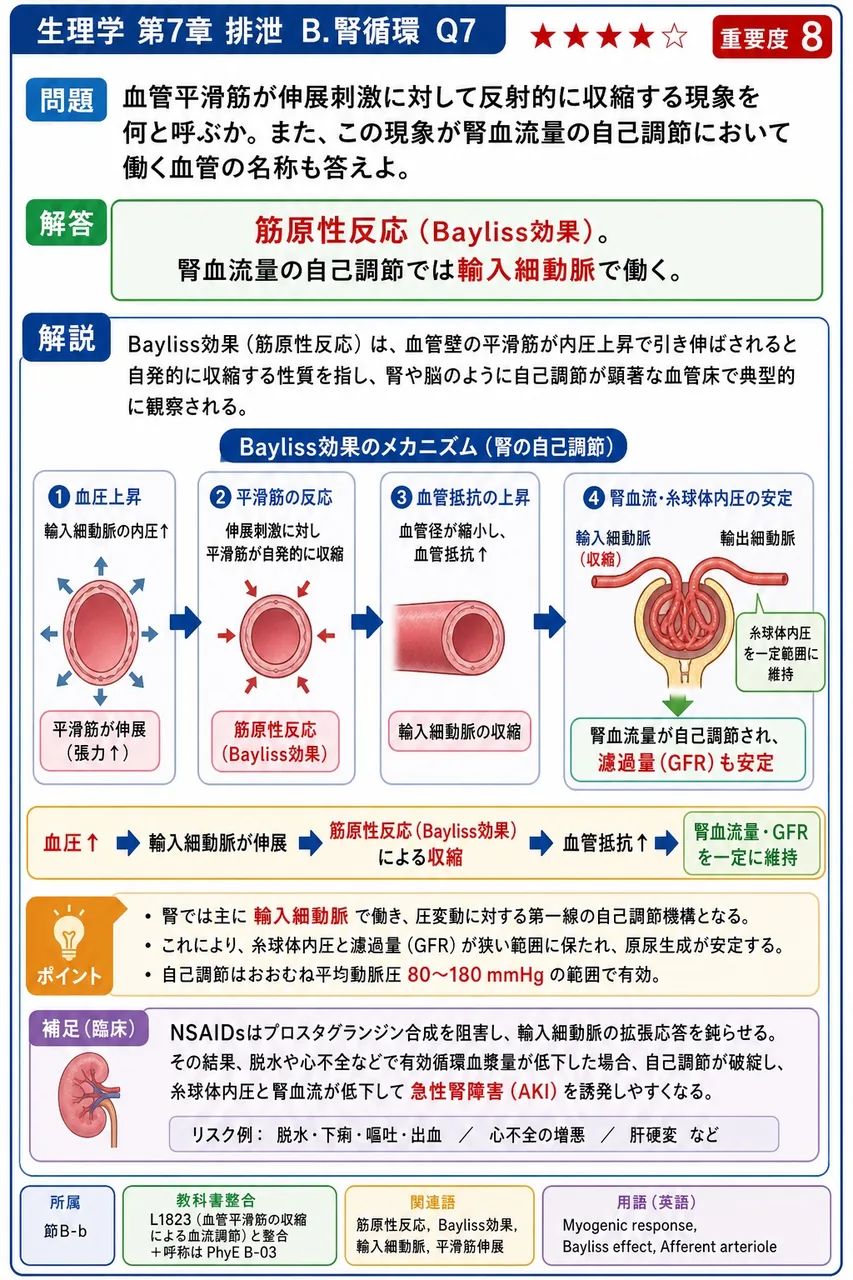 血管平滑筋が伸展刺激に対して反射的に収縮する現象を何と呼ぶか。また、この現象が腎血流量の自己調節において働く血管の名称も答えよ。 解説図