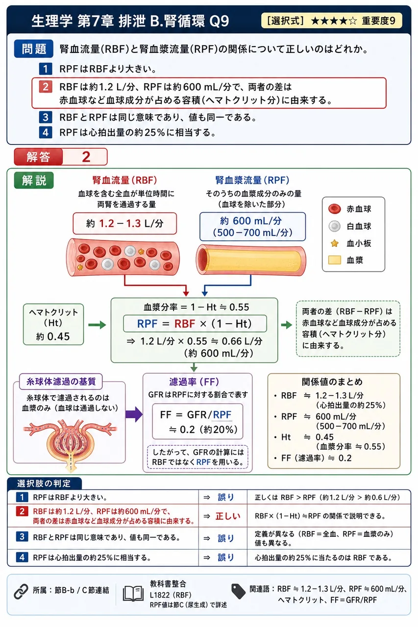 腎血流量(RBF)と腎血漿流量(RPF)の関係について正しいのはどれか。 解説図