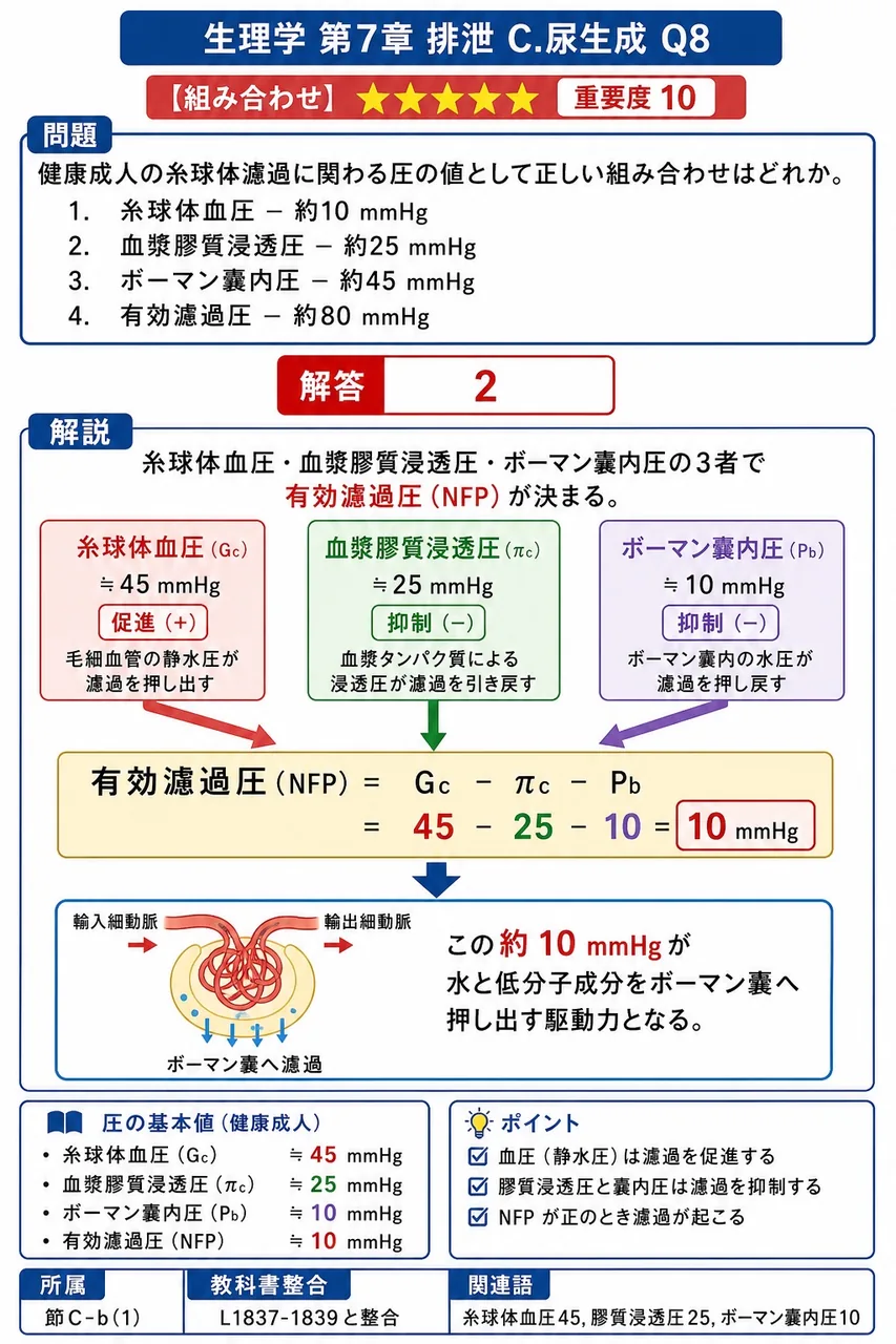 健康成人の糸球体濾過に関わる圧の値として正しい組み合わせはどれか。 解説図