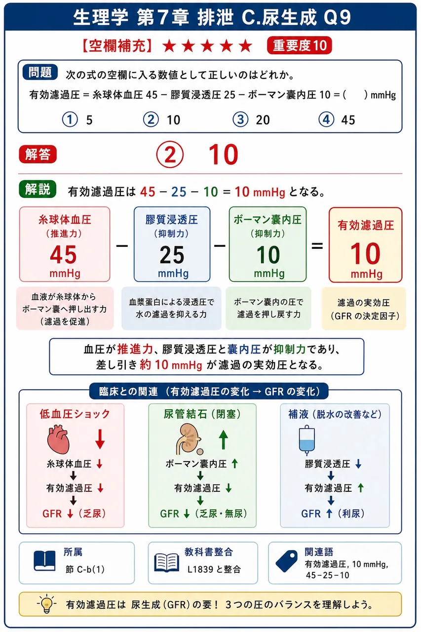次の式の空欄に入る数値として正しいのはどれか。「有効濾過圧=糸球体血圧45-膠質浸透圧25-ボーマン嚢内圧10=( )mmHg」 解説図