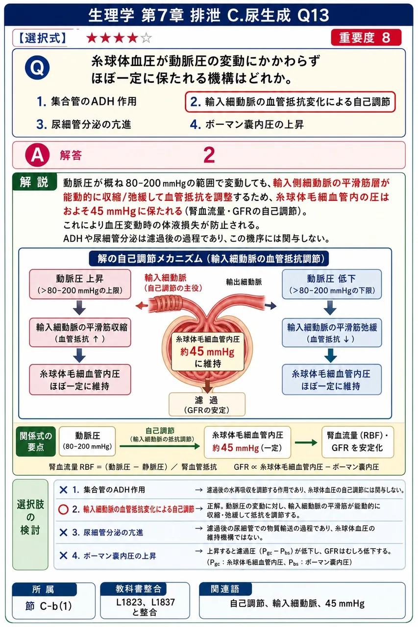 糸球体血圧が動脈圧の変動にかかわらずほぼ一定に保たれる機構はどれか。 解説図