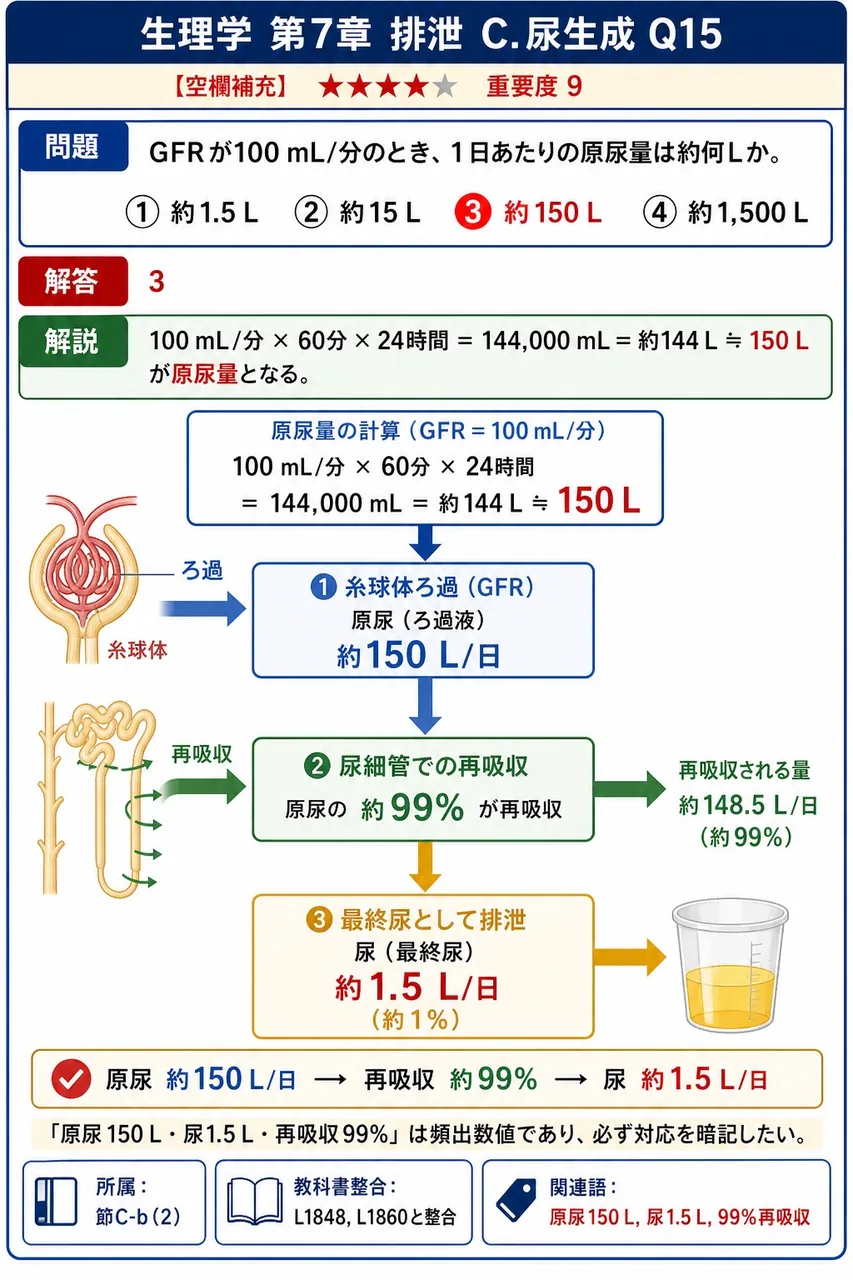 GFRが100 mL/分のとき、1日あたりの原尿量は約何Lか。 解説図