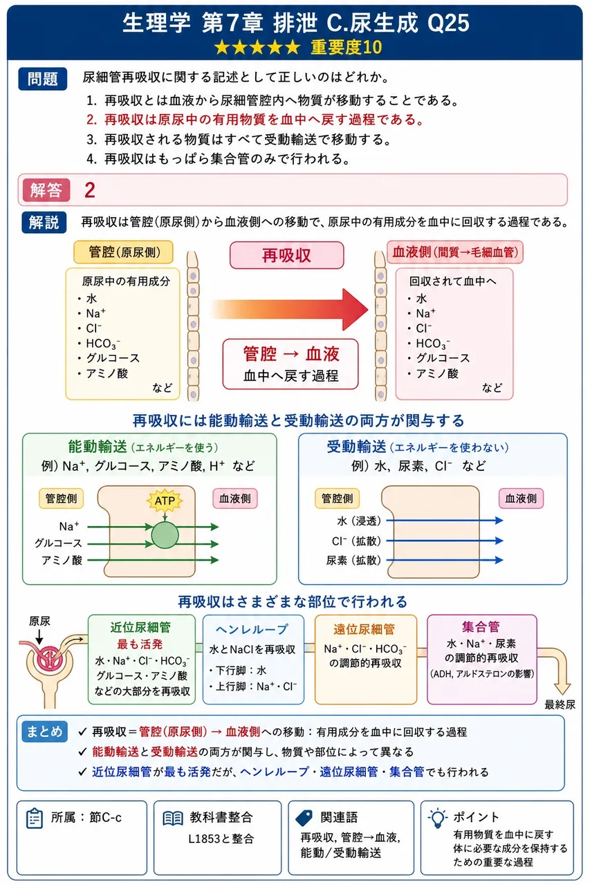 尿細管再吸収に関する記述として正しいのはどれか。 解説図