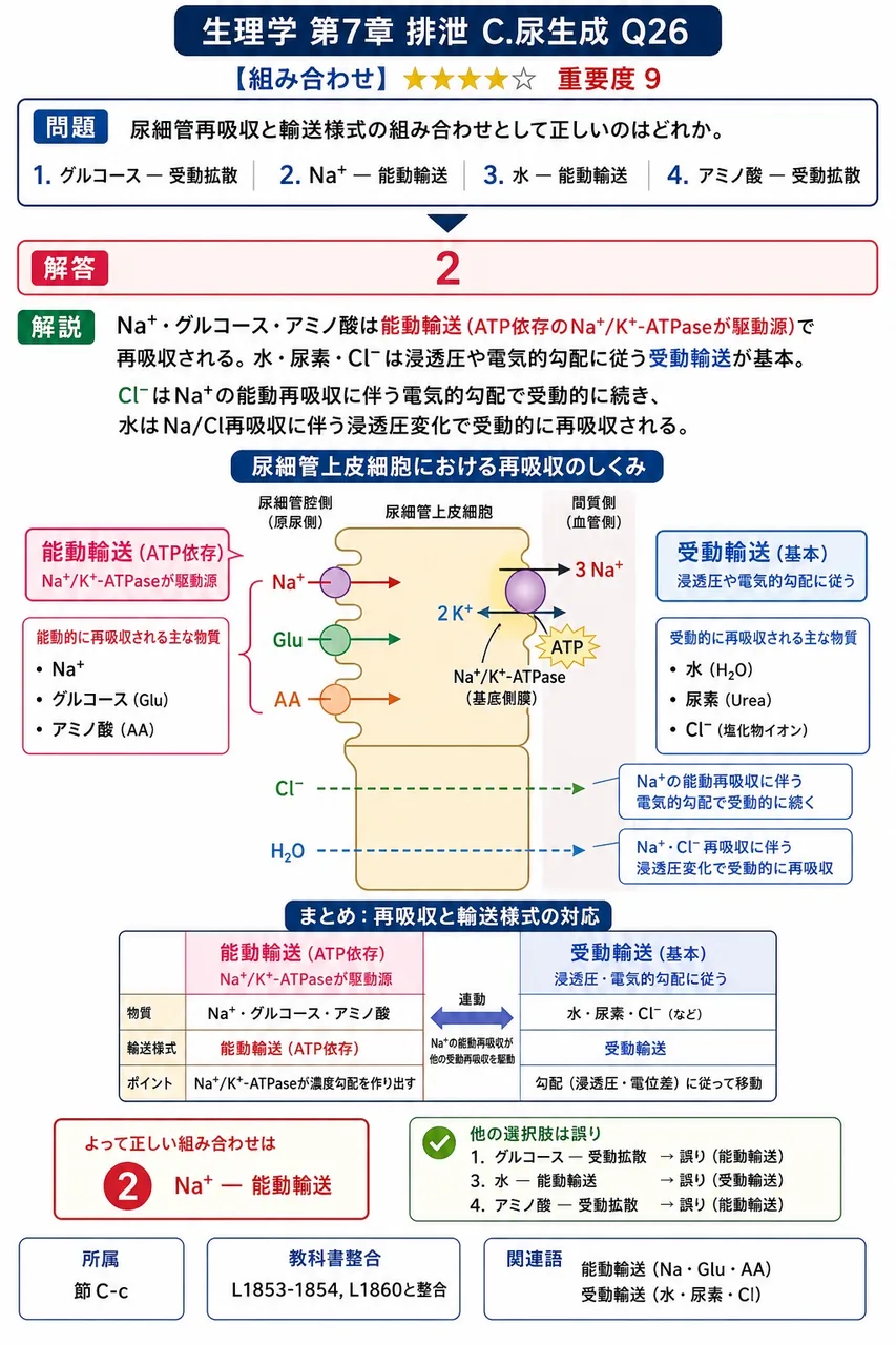 尿細管再吸収と輸送様式の組み合わせとして正しいのはどれか。 解説図