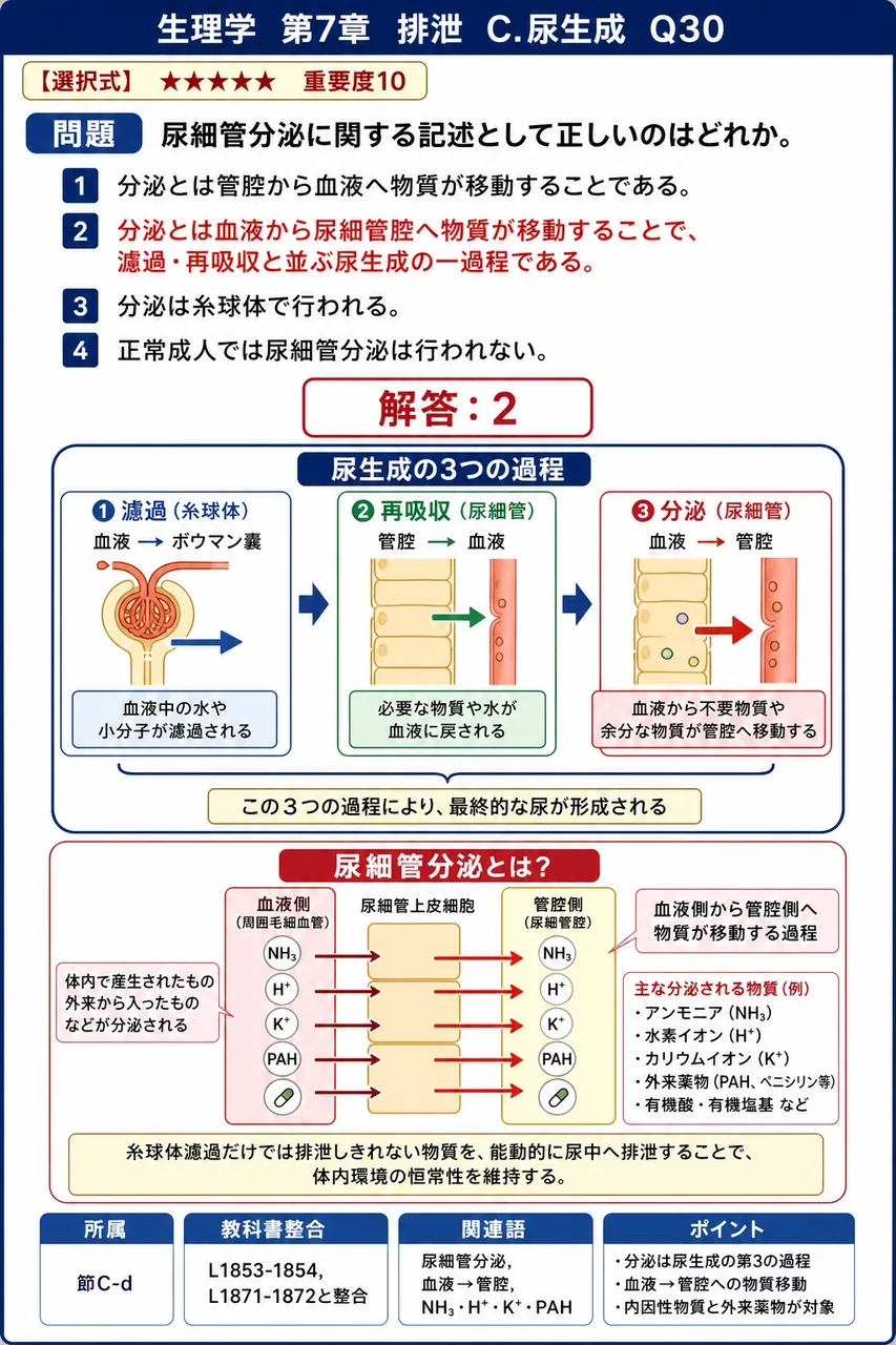 尿細管分泌に関する記述として正しいのはどれか。 解説図