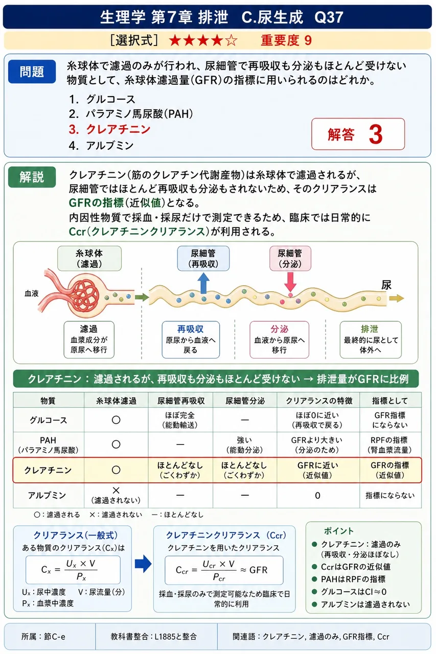 糸球体で濾過のみが行われ、尿細管で再吸収も分泌もほとんど受けない物質として、糸球体濾過量(GFR)の指標に用いられるのはどれか。 解説図