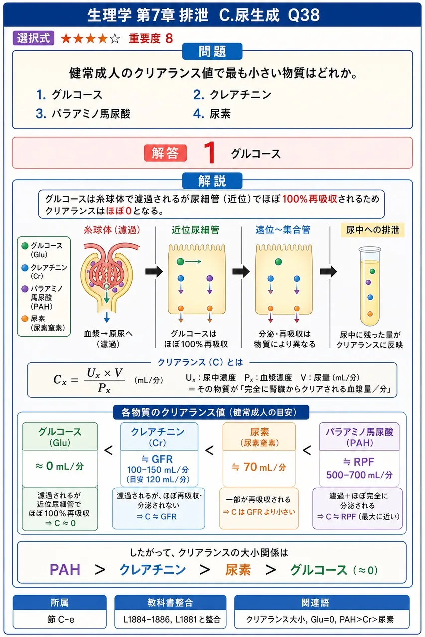 健常成人のクリアランス値で最も小さい物質はどれか。 解説図