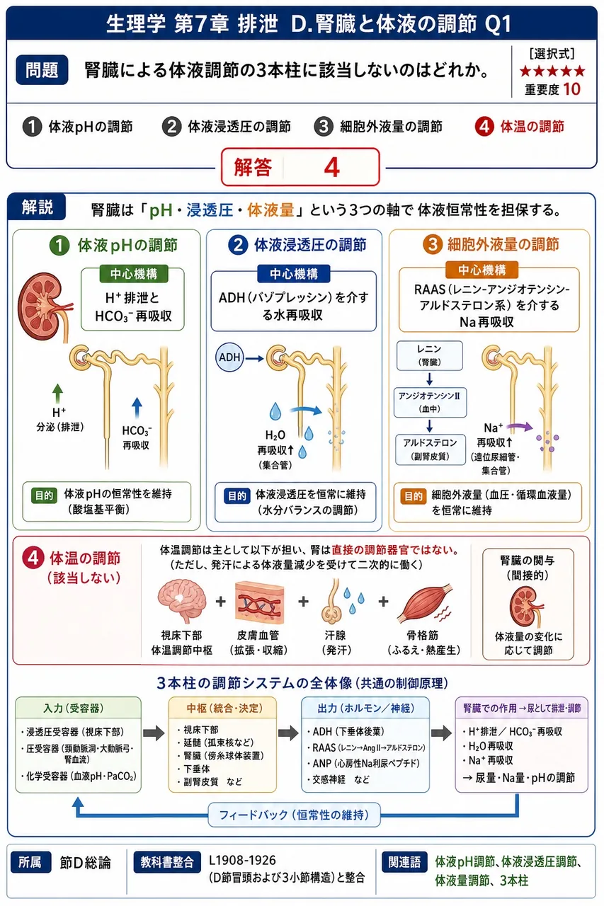 腎臓による体液調節の3本柱に該当しないのはどれか。 解説図