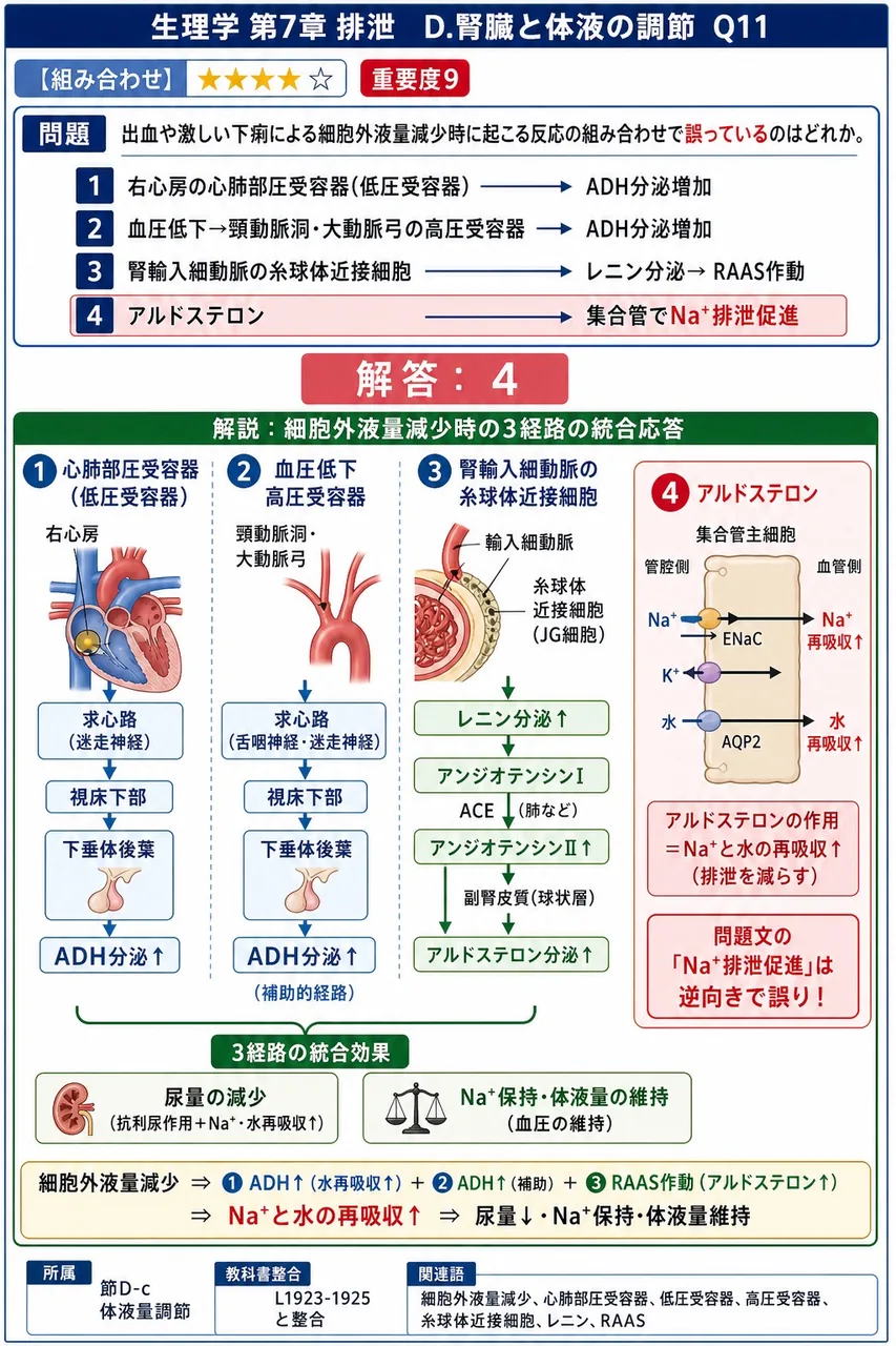 出血や激しい下痢による細胞外液量減少時に起こる反応の組み合わせで誤っているのはどれか。 解説図