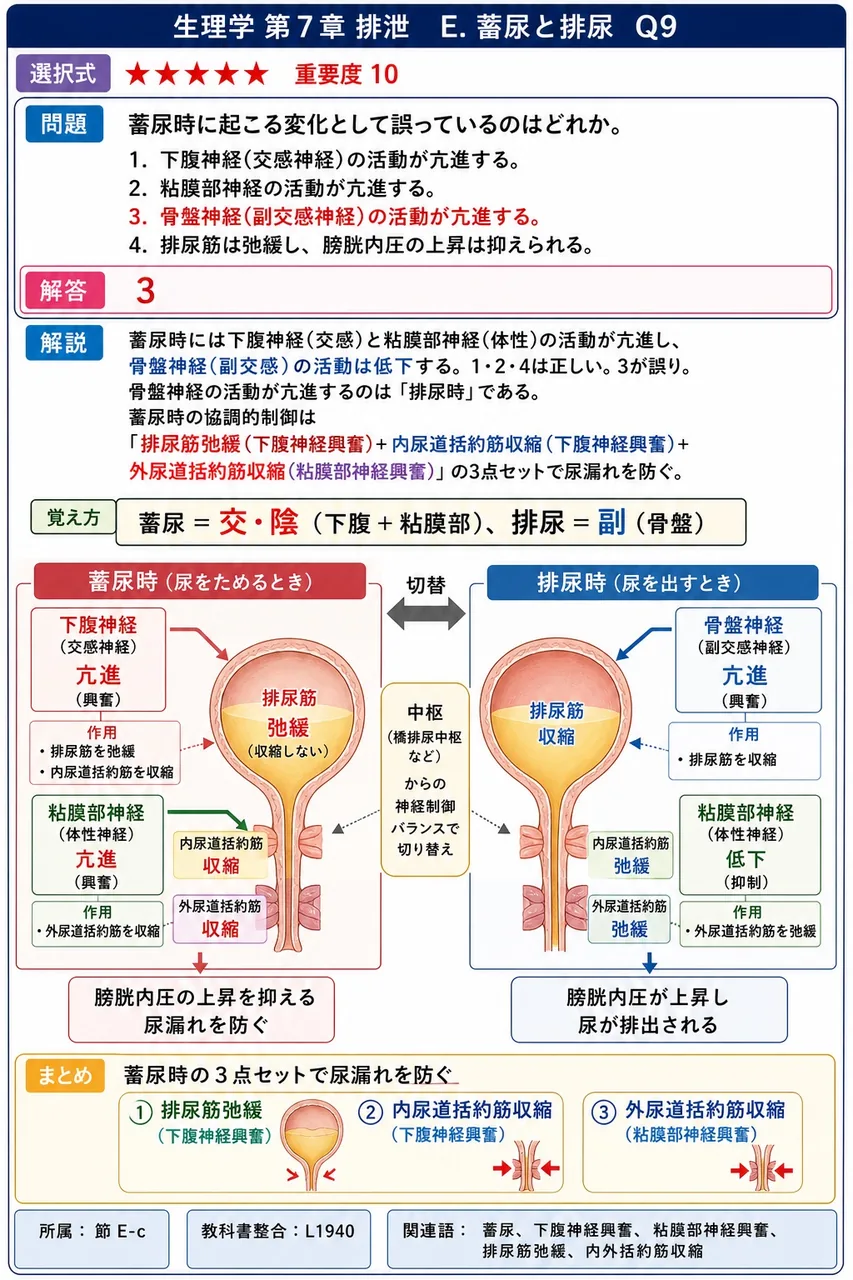 蓄尿時に起こる変化として誤っているのはどれか。 解説図