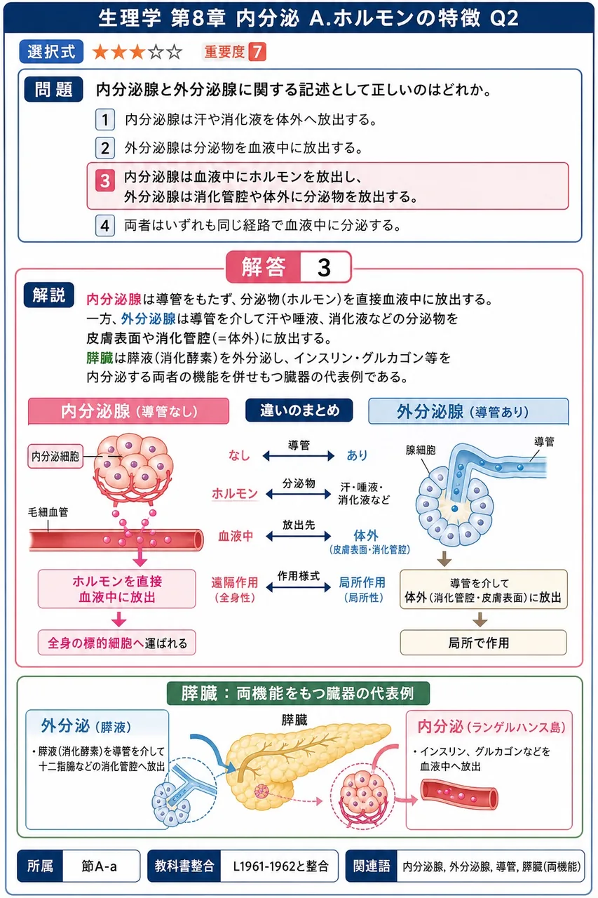 内分泌腺と外分泌腺に関する記述として正しいのはどれか。 解説図