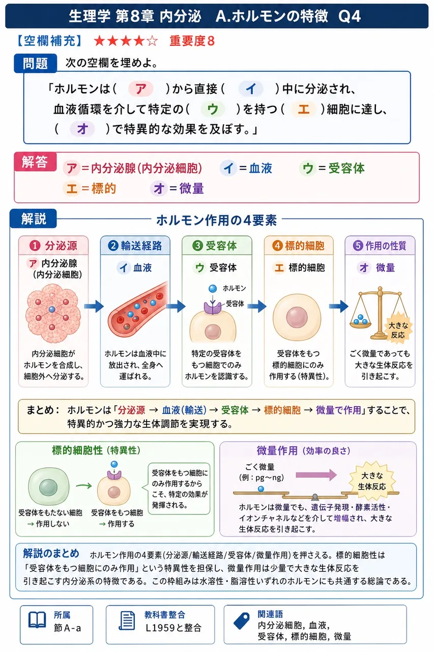 次の空欄を埋めよ。 「ホルモンは( ア )から直接( イ )中に分泌され、血液循環を介して特定の( ウ )を持つ( エ )細胞に達し、( オ )で特異的な効果を及ぼす。」 解説図