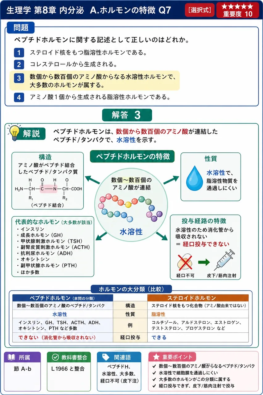 ペプチドホルモンに関する記述として正しいのはどれか。 解説図