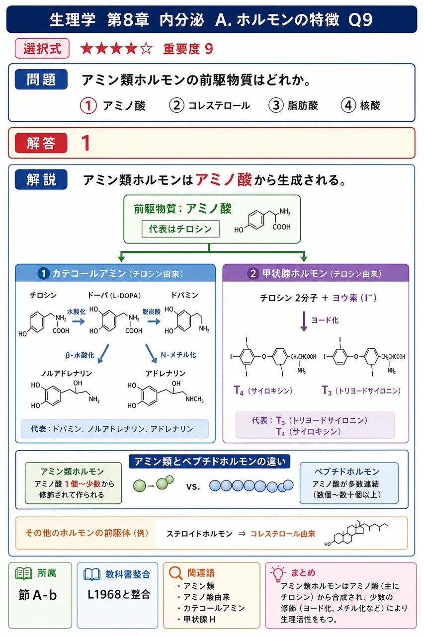 アミン類ホルモンの前駆物質はどれか。 解説図