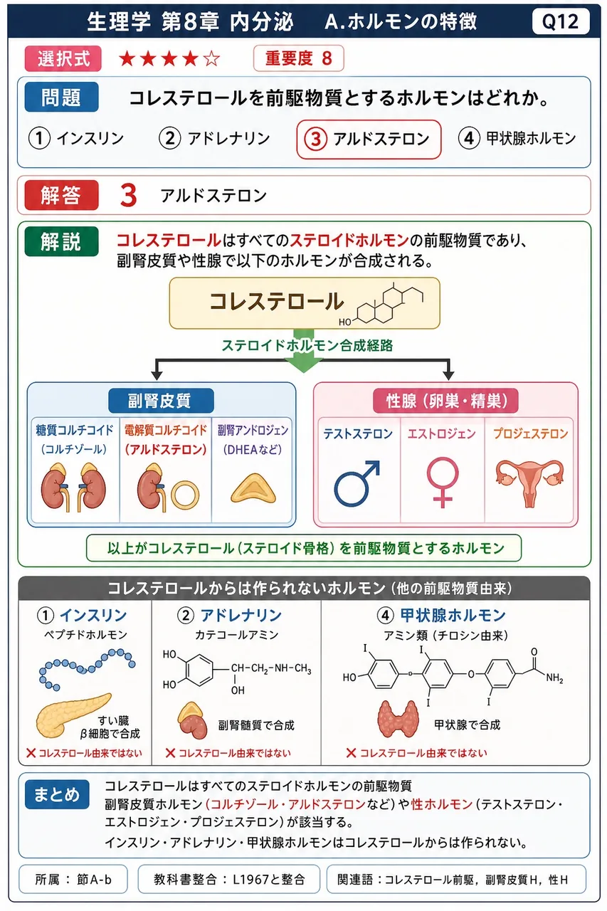 コレステロールを前駆物質とするホルモンはどれか。 解説図