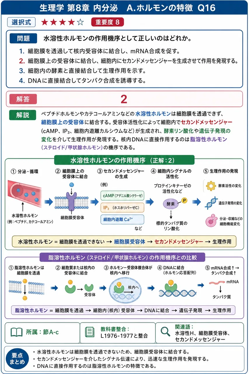 水溶性ホルモンの作用機序として正しいのはどれか。 解説図