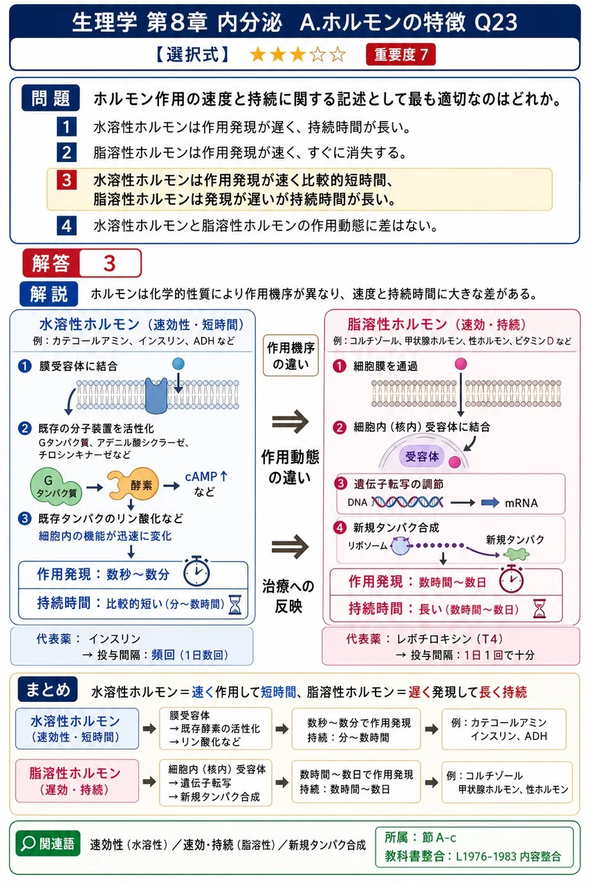 ホルモン作用の速度と持続に関する記述として最も適切なのはどれか。 解説図