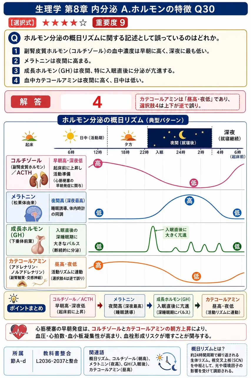 ホルモン分泌の概日リズムに関する記述として誤っているのはどれか。 解説図