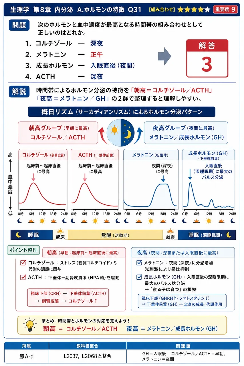 次のホルモンと血中濃度が最高となる時間帯の組み合わせとして正しいのはどれか。 解説図