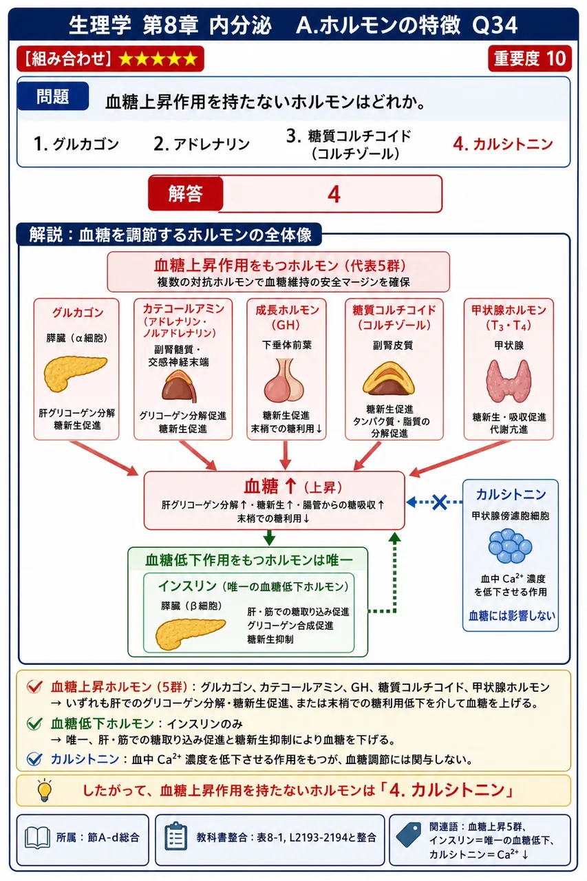 血糖上昇作用を持たないホルモンはどれか。 解説図