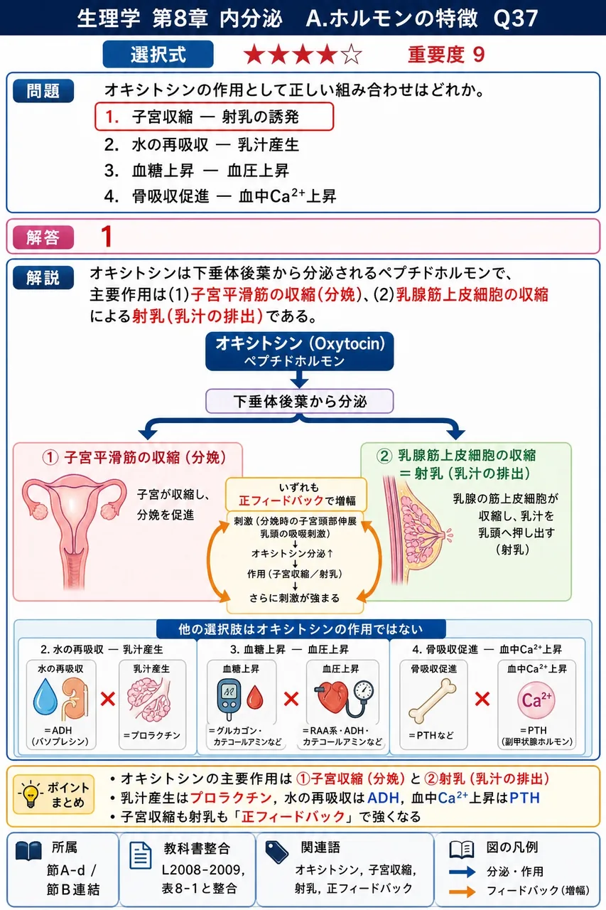 オキシトシンの作用として正しい組み合わせはどれか。 解説図