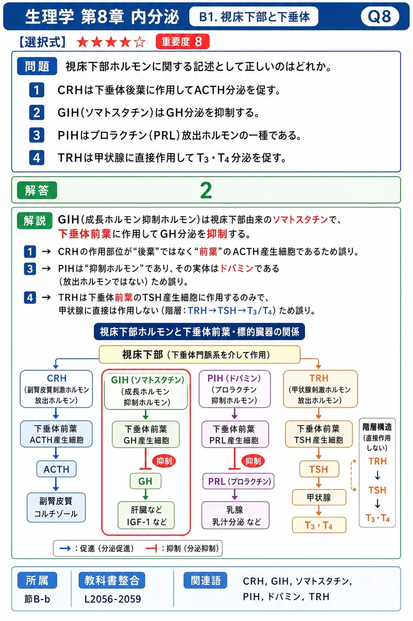 視床下部ホルモンに関する記述として正しいのはどれか。 解説図