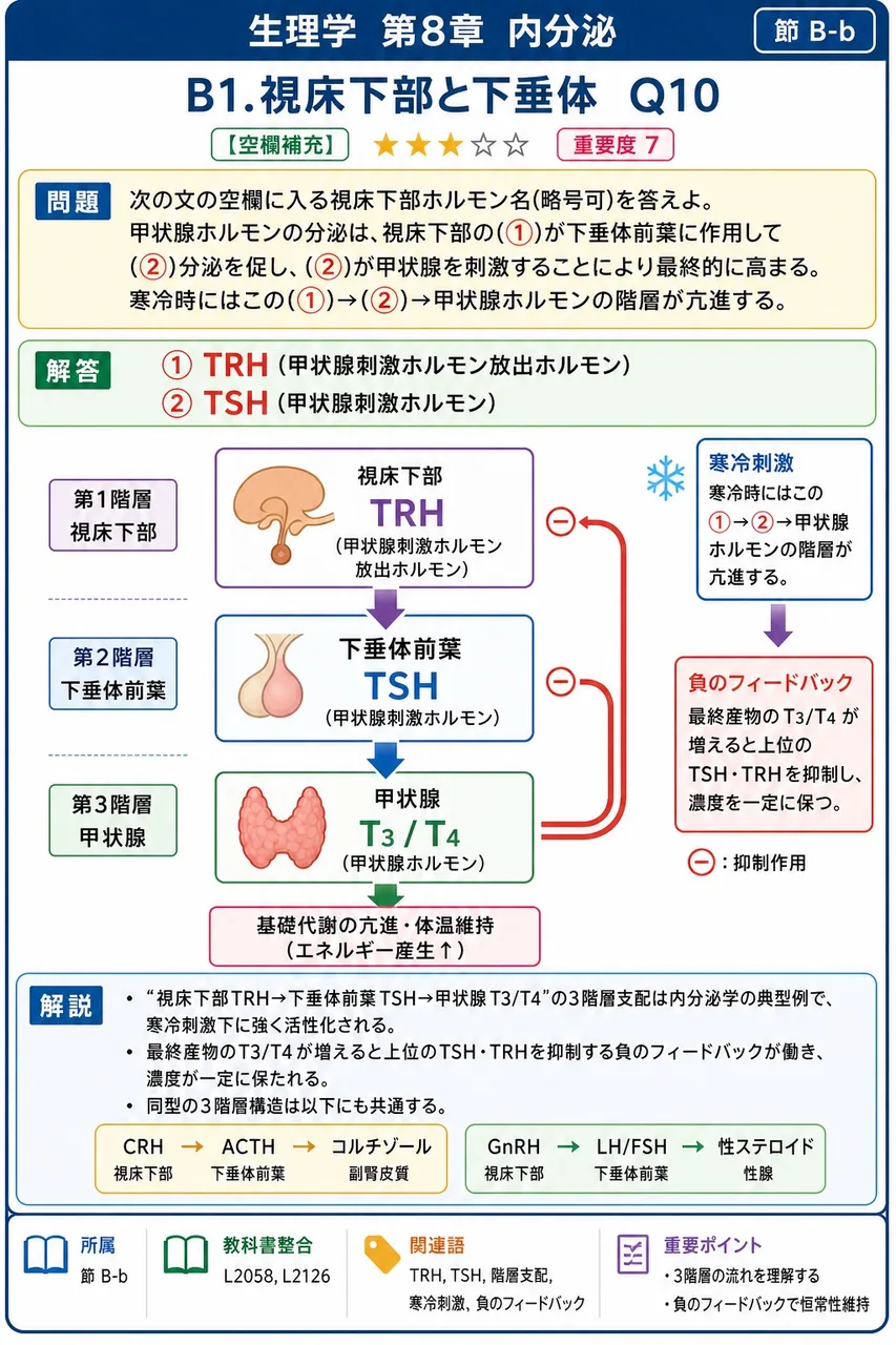 次の文の空欄に入る視床下部ホルモン名(略号可)を答えよ。 甲状腺ホルモンの分泌は、視床下部の(①)が下垂体前葉に作用して(②)分泌を促し、(②)が甲状腺を刺激することにより最終的に高まる。寒冷時にはこの(①)→(②)→甲状腺ホルモンの階層が亢進する。 解説図