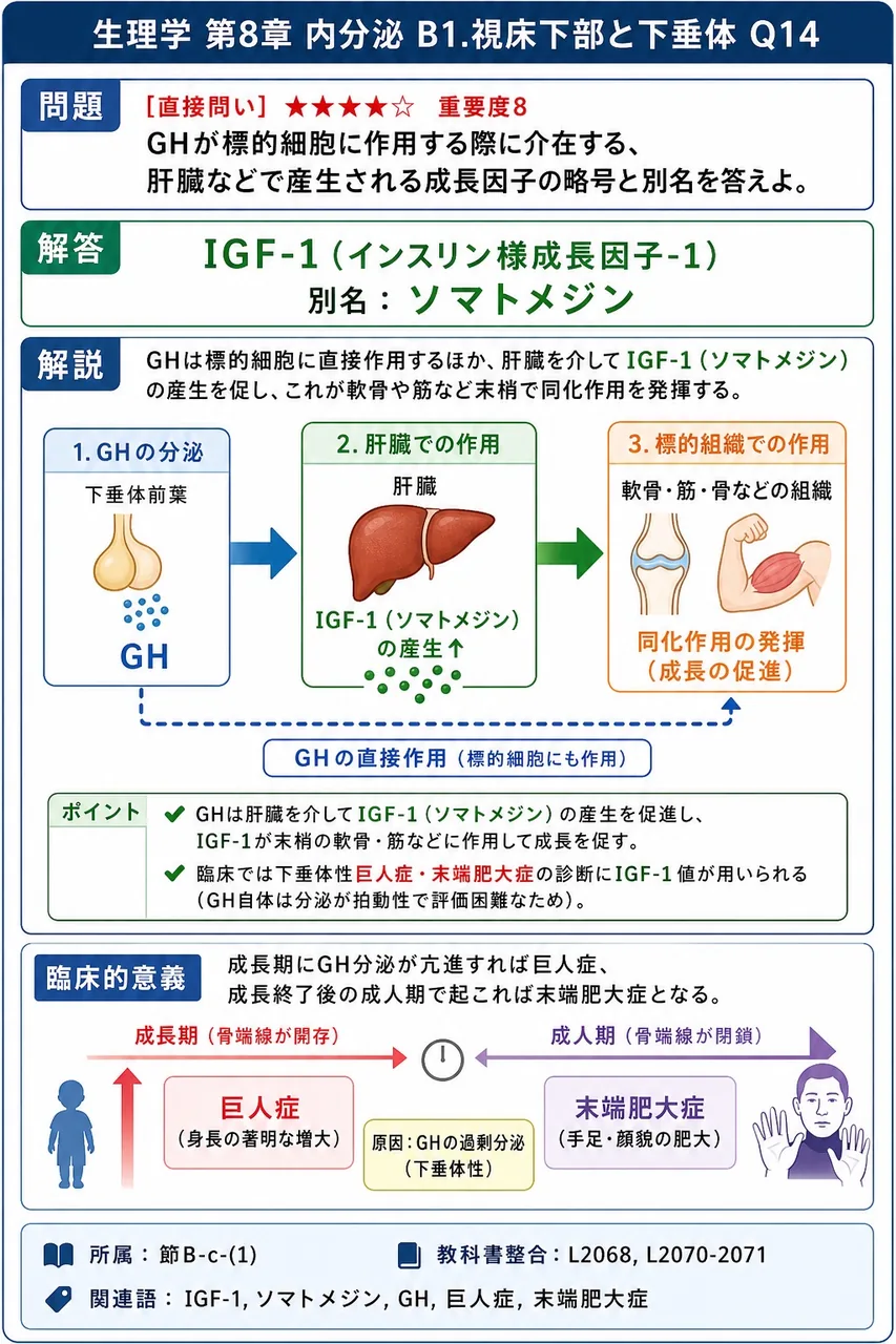 GHが標的細胞に作用する際に介在する、肝臓などで産生される成長因子の略号と別名を答えよ。 解説図