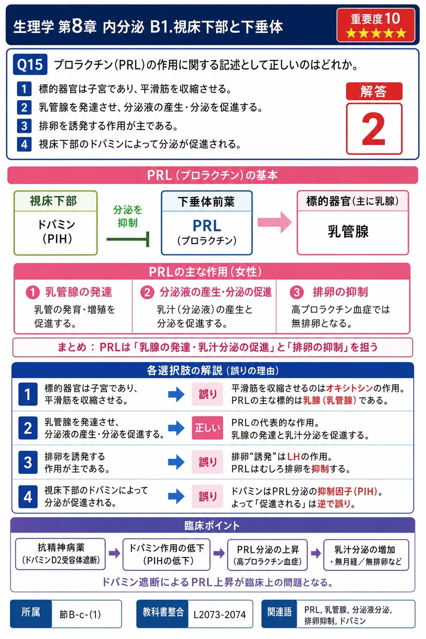 プロラクチン(PRL)の作用に関する記述として正しいのはどれか。 解説図