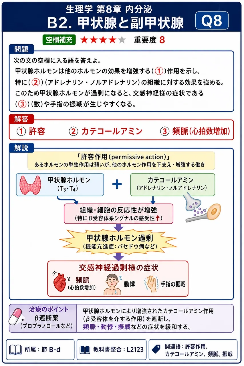 次の文の空欄に入る語を答えよ。 甲状腺ホルモンは他のホルモンの効果を増強する(①)作用を示し、特に(②)(アドレナリン・ノルアドレナリン)の組織に対する効果を強める。このため甲状腺ホルモンが過剰になると、交感神経様の症状である(③)(数)や手指の振戦が生じやすくなる。 解説図
