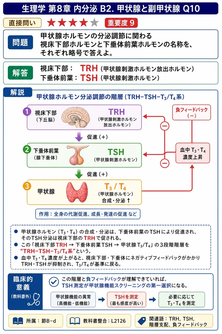 甲状腺ホルモンの分泌調節に関わる視床下部ホルモンと下垂体前葉ホルモンの名称を、それぞれ略号で答えよ。 解説図
