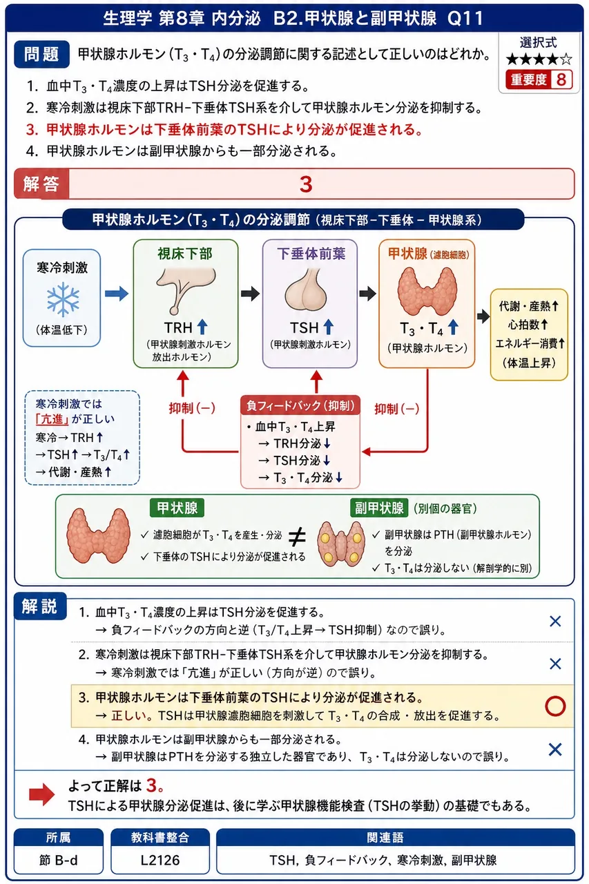 甲状腺ホルモン(T₃・T₄)の分泌調節に関する記述として正しいのはどれか。 解説図