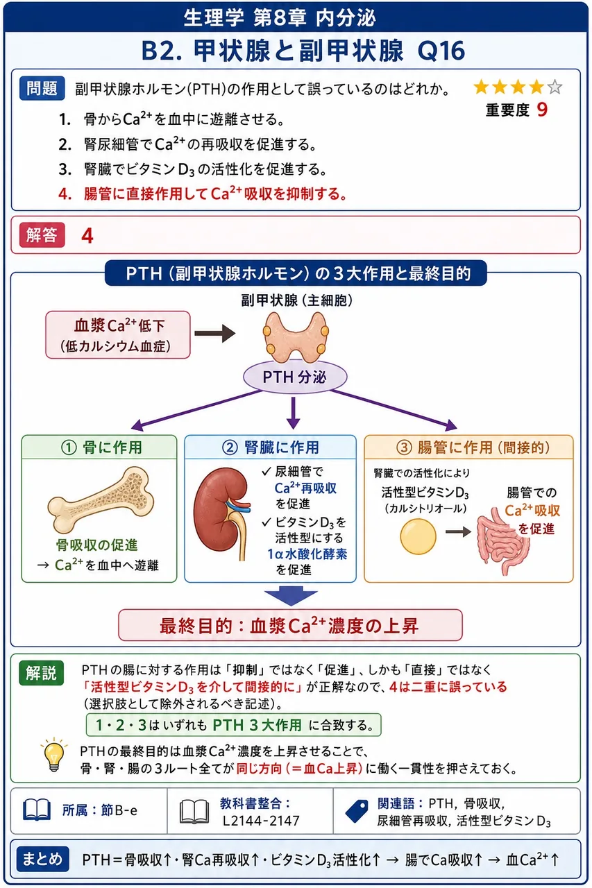 副甲状腺ホルモン(PTH)の作用として誤っているのはどれか。 解説図