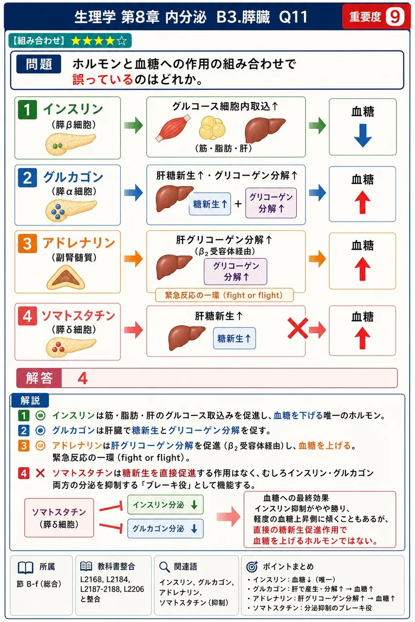 ホルモンと血糖への作用の組み合わせで誤っているのはどれか。 解説図