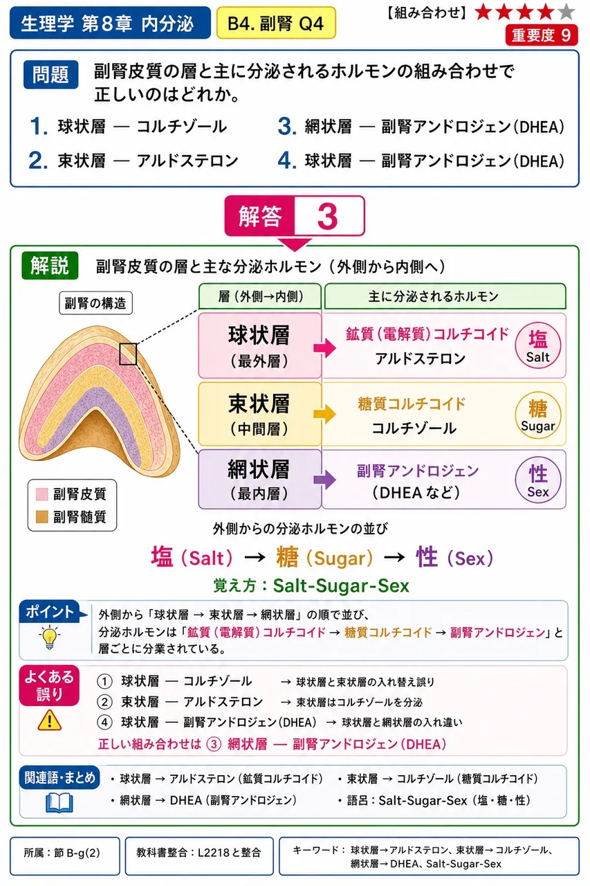 副腎皮質の層と主に分泌されるホルモンの組み合わせで正しいのはどれか。 解説図