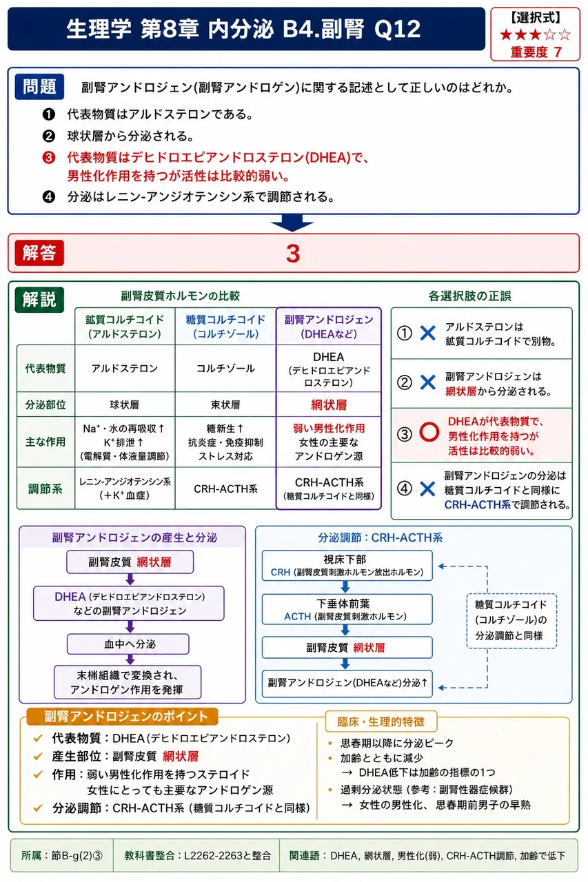 副腎アンドロジェン(副腎アンドロゲン)に関する記述として正しいのはどれか。 解説図