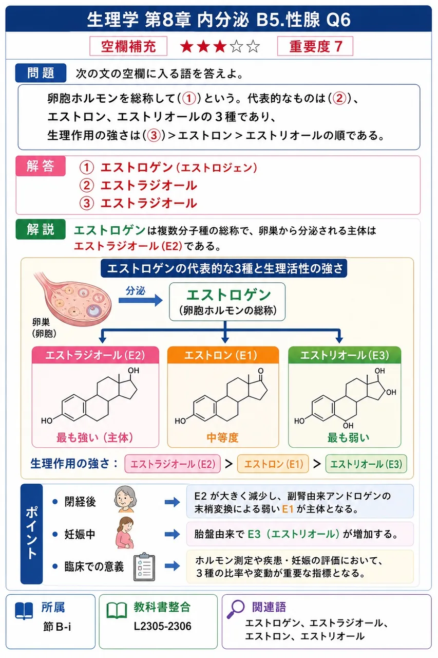 次の文の空欄に入る語を答えよ。 卵胞ホルモンを総称して(①)という。代表的なものは(②)、エストロン、エストリオールの3種であり、生理作用の強さは(③)>エストロン>エストリオールの順である。 解説図